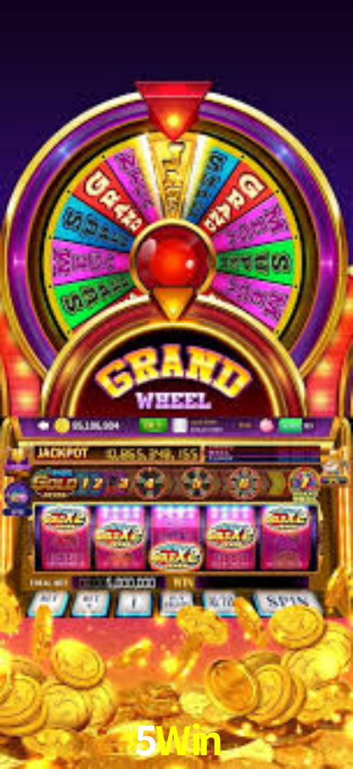 Interface Premium 5Win